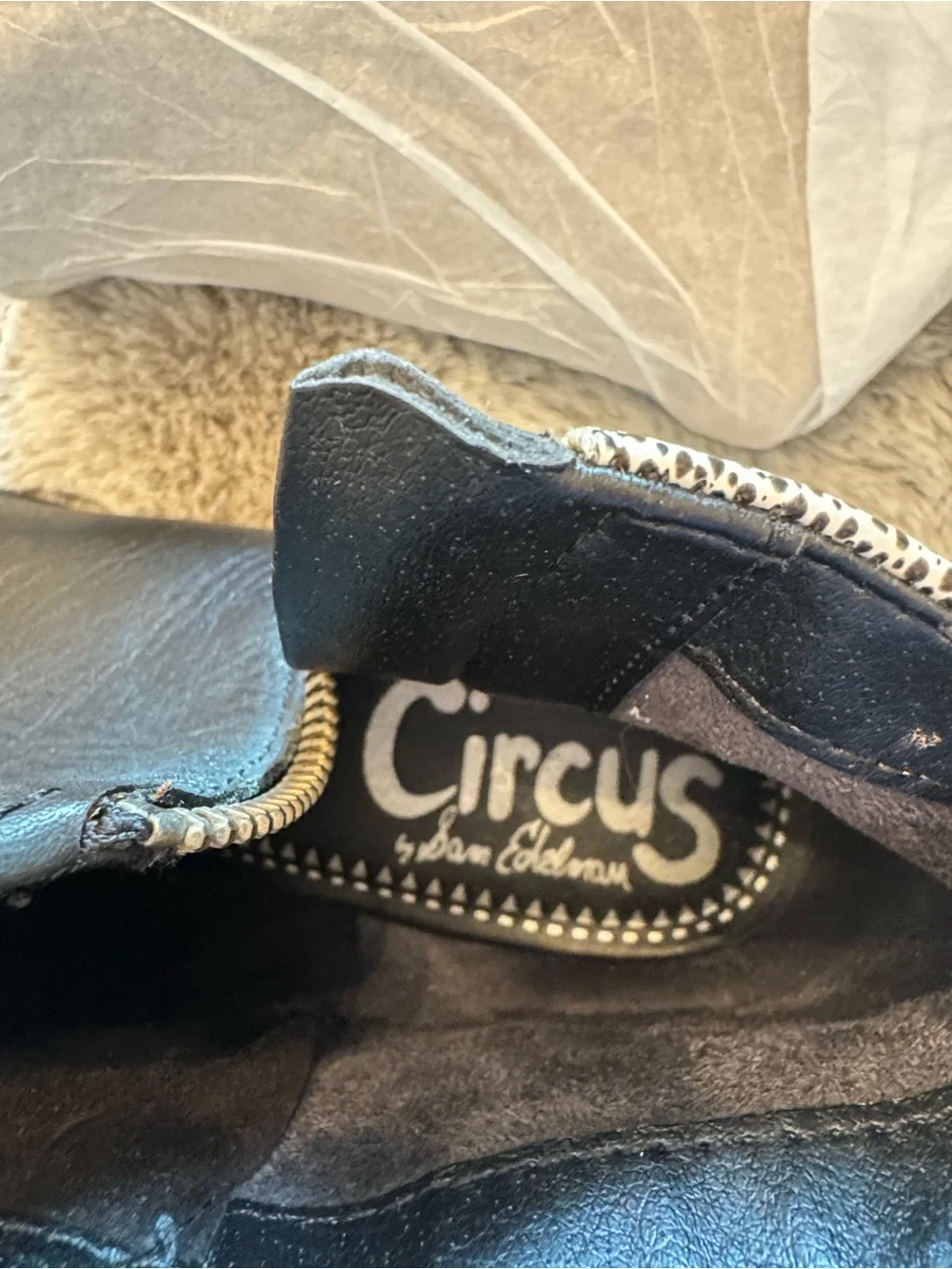 Circus by Sam Edelman Black and White Studded Heel Ankle Boots